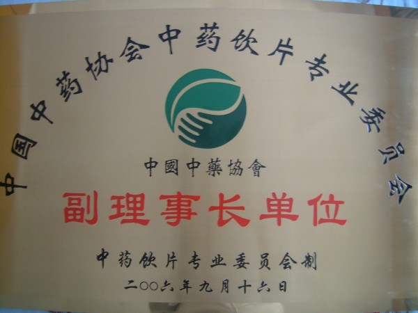 中國中藥協會副理事長證書